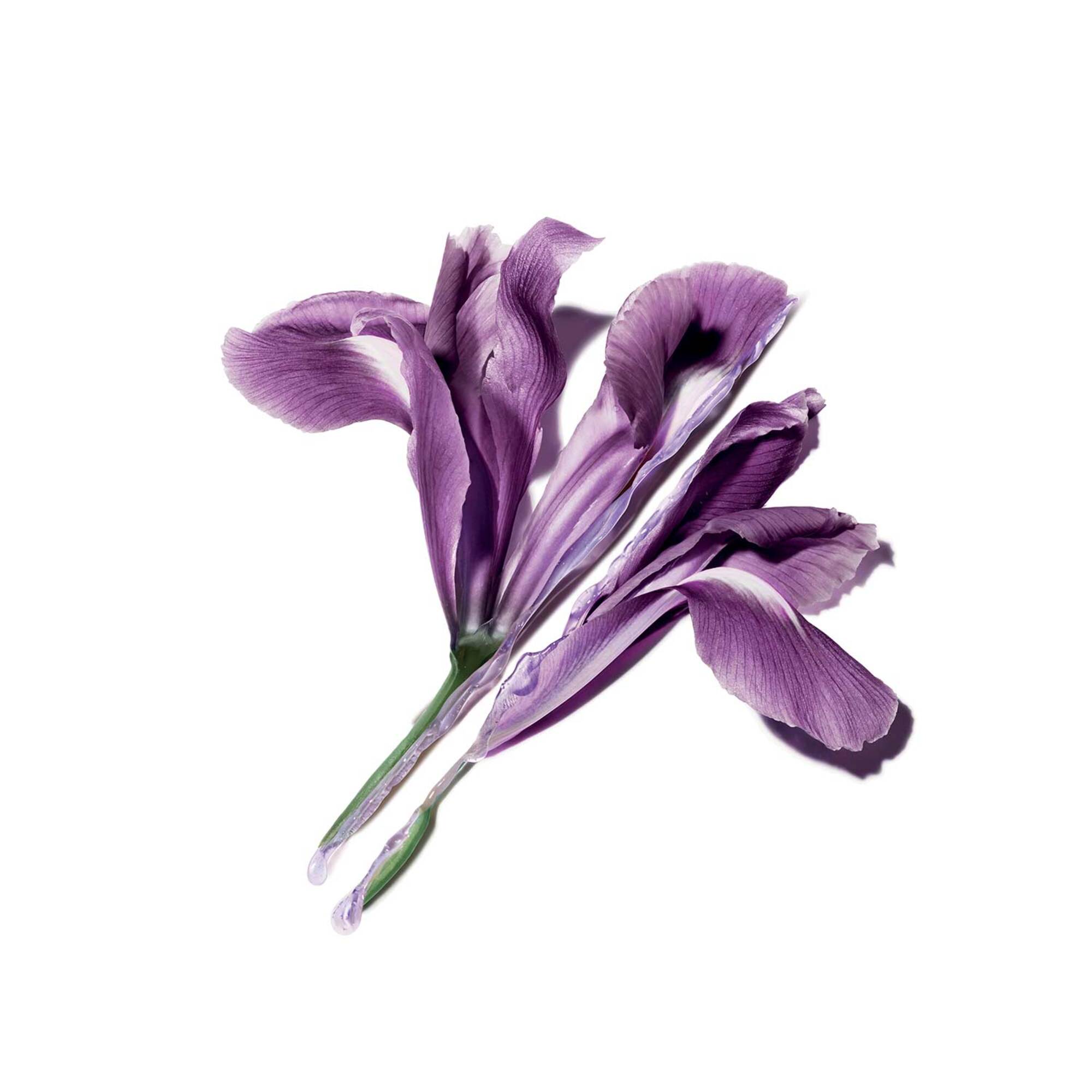 Pure Shots Lines Away Szérum utántöltő