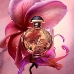 30 ML RABANNE OLYMPEA Olympea Solar Eau de Parfum Intense  4 of 5 Olympea Solar Eau de Parfum Intense