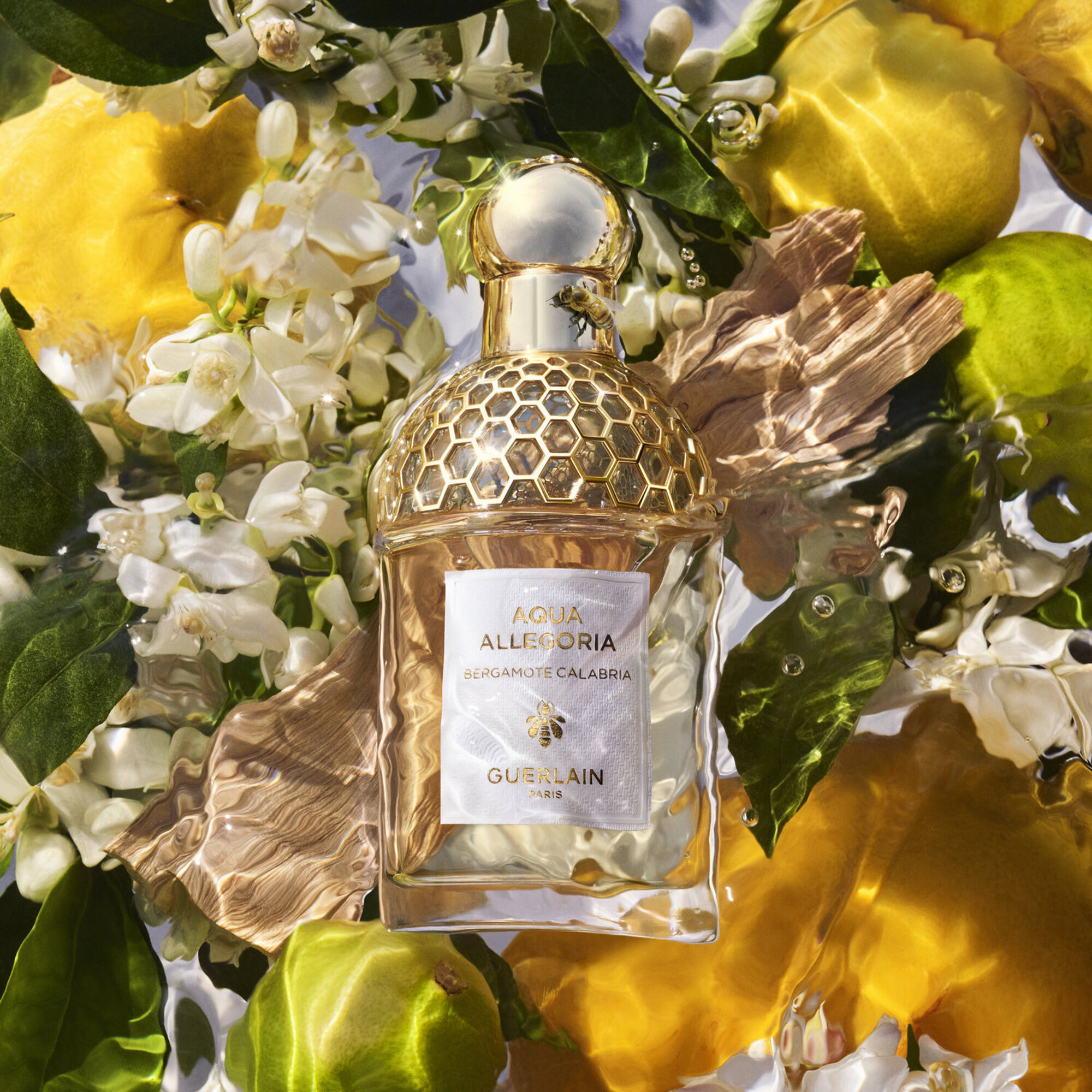Aqua Allegoria Bergamote Calabria Eau de Toilette&nbsp;