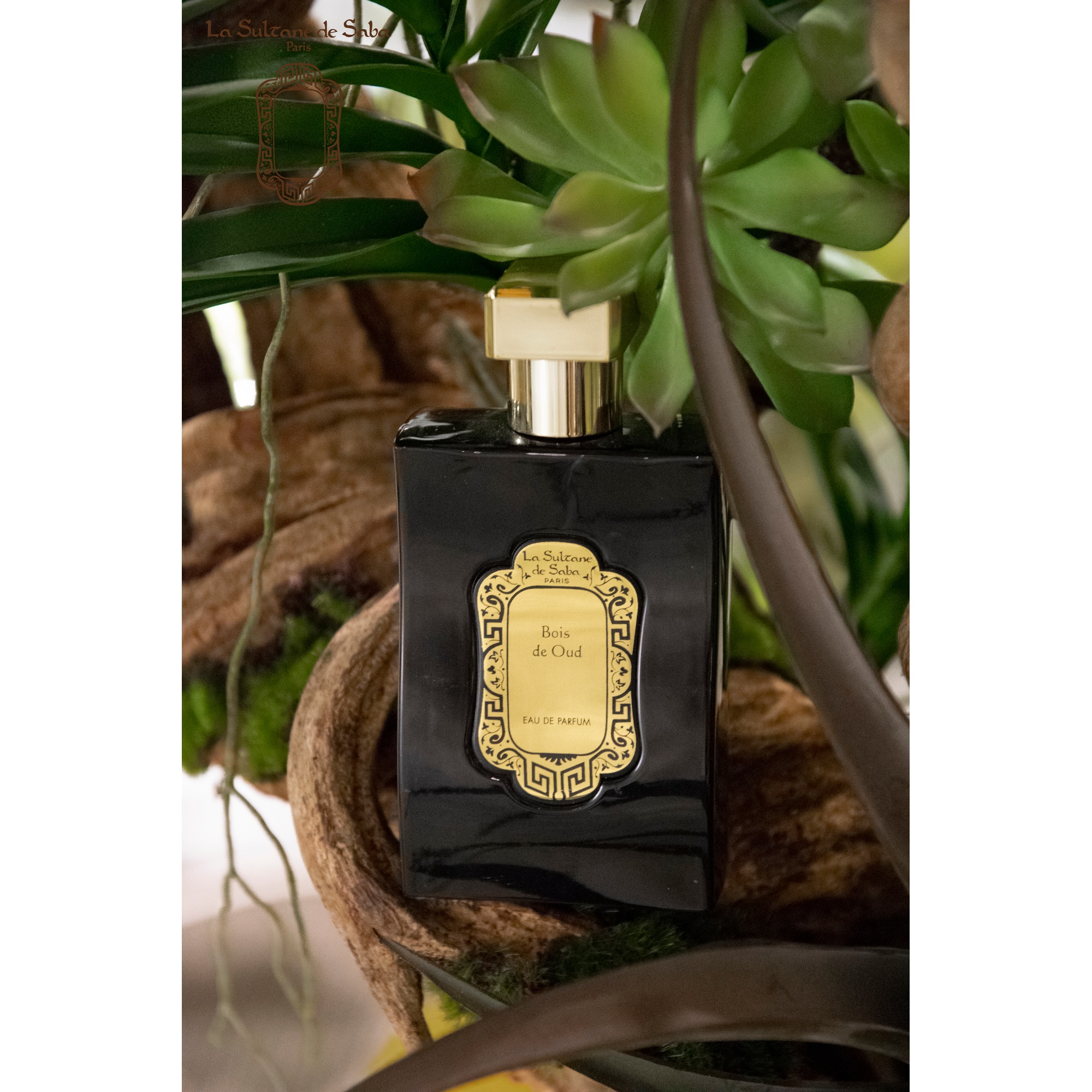 100 ML La Sultane de Saba BOIS DE OUD BOIS DE OUD Eau de Parfum 1 of 1
