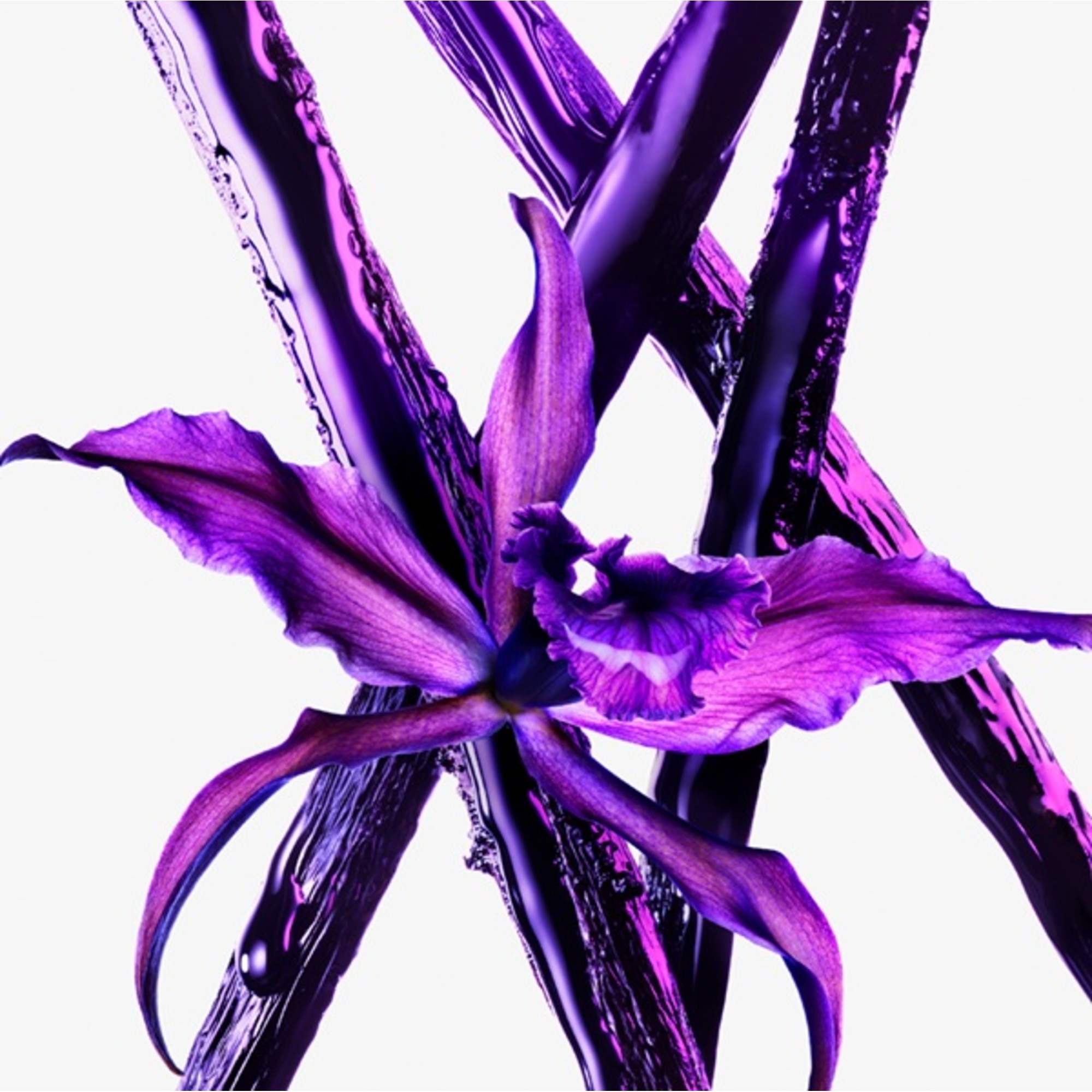 90 ML MUGLER ALIEN Alien Eau de Parfum Extraintense  1 of 8 