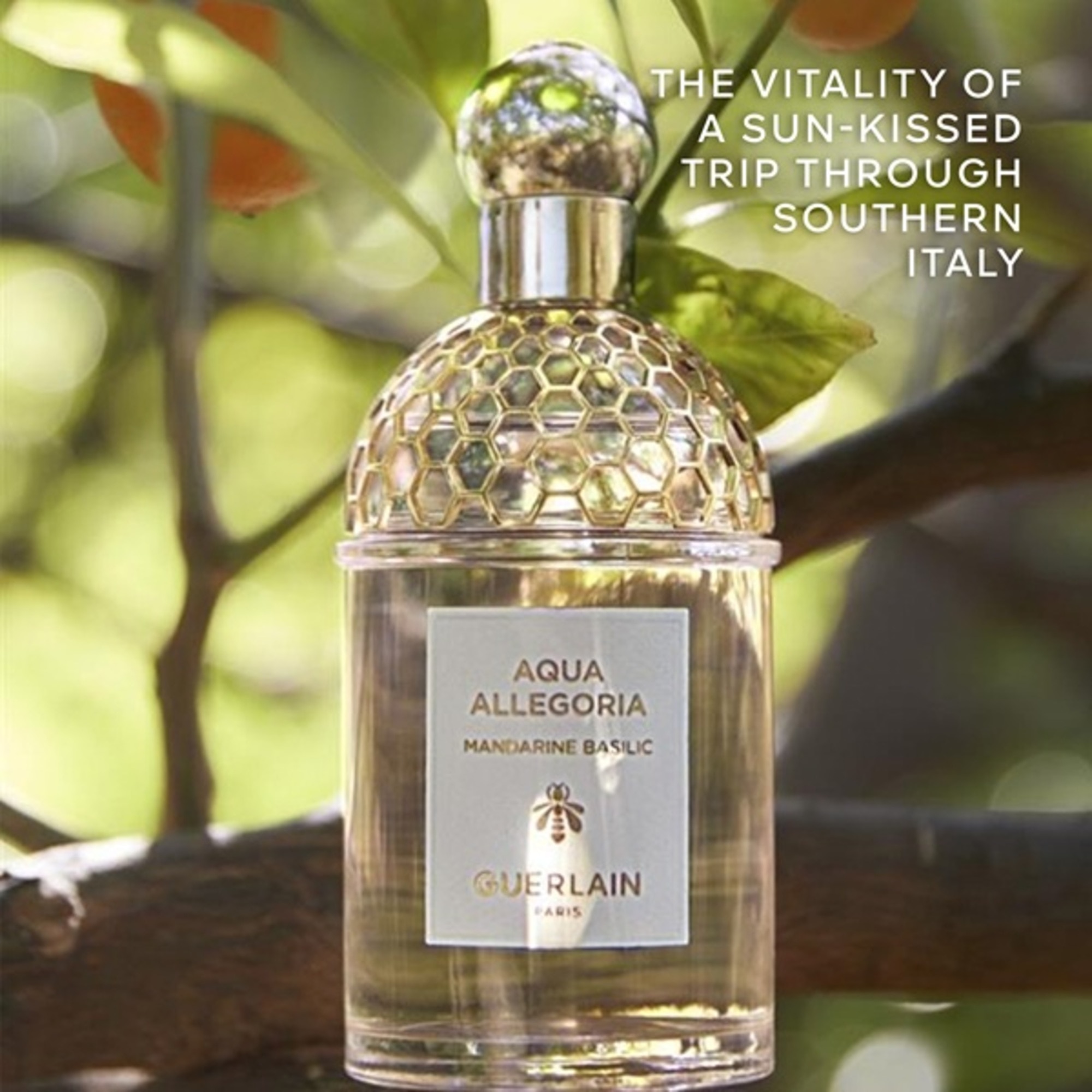 Aqua Allegoria Mandarin Basilic Eau de Toilette