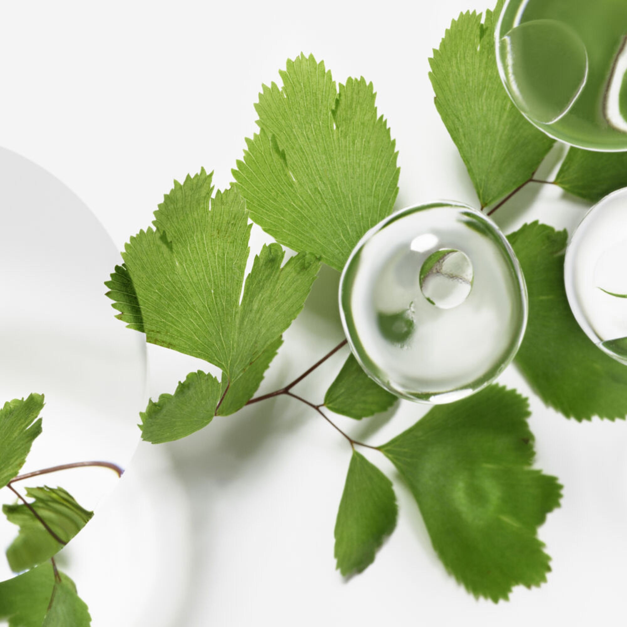 Ecological Compound Advanced Formula Discovery Program