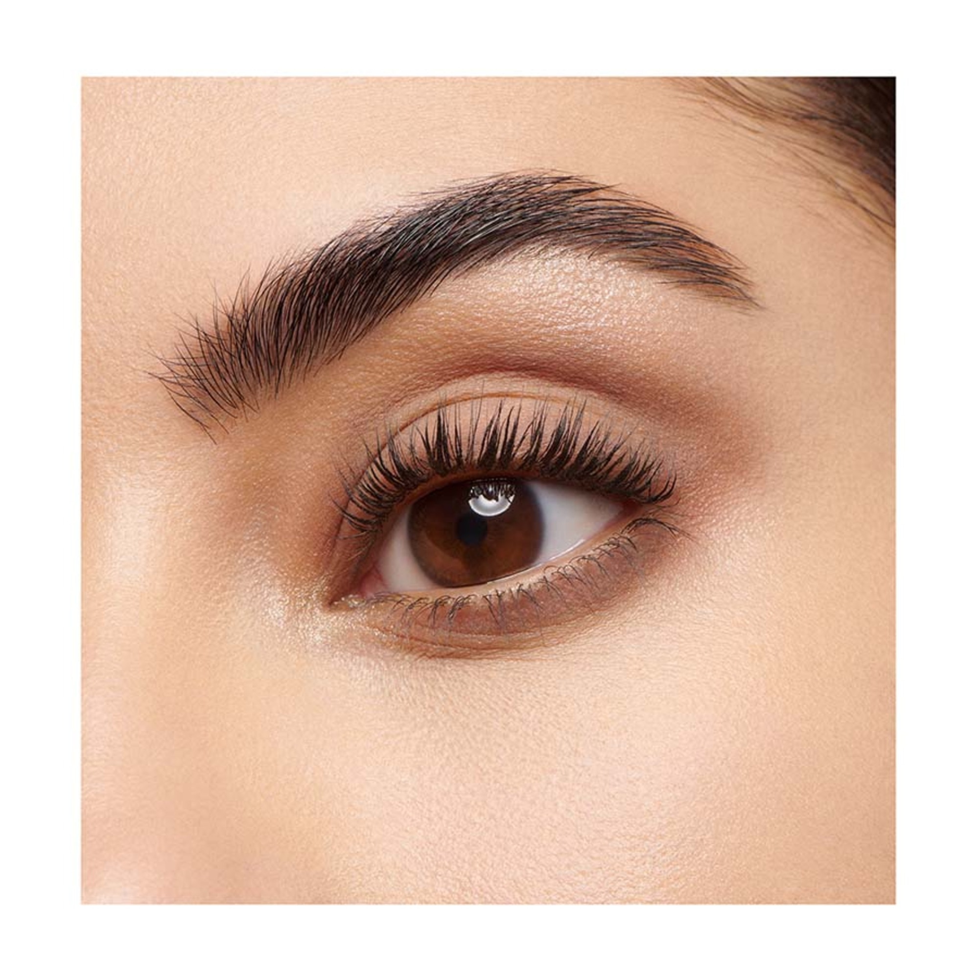 QUARTET Szemhéjpúder paletta