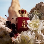 50 ML Dolce & Gabbana Q by Dolce&Gabbana Elixir Q by Dolce&Gabbana Elixir  2 of 8 Q by Dolce&Gabbana Elixir