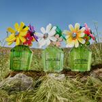 30 ML MARC JACOBS Daisy Wild Daisy Wild Eau So Extra Parfum  8 of 8 Daisy Wild Eau So Extra Parfum