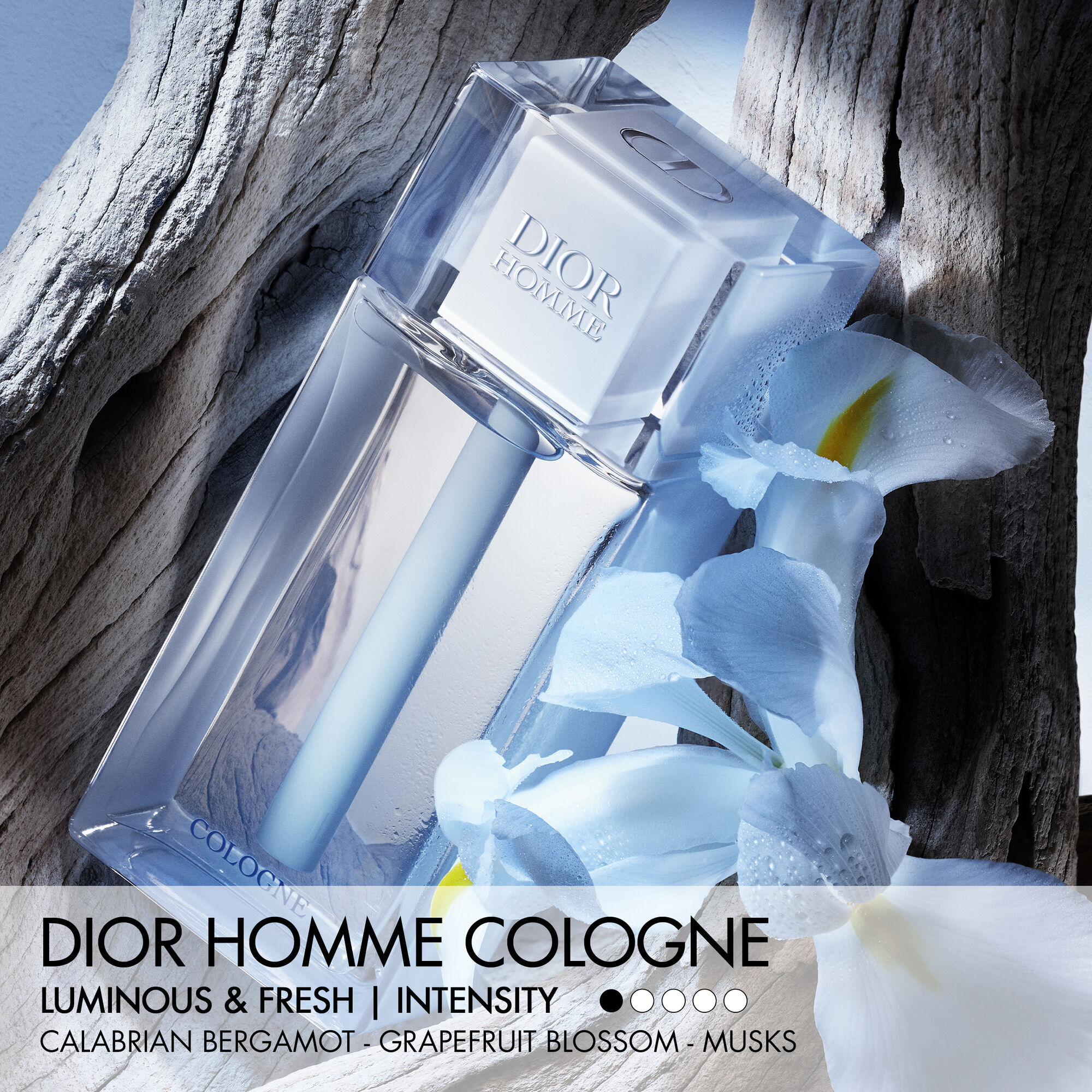 Dior Homme Eau de Cologne