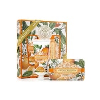 60+200 ML+G SOMERSET AAA Body Care Ápoló szett Orange Blossom  