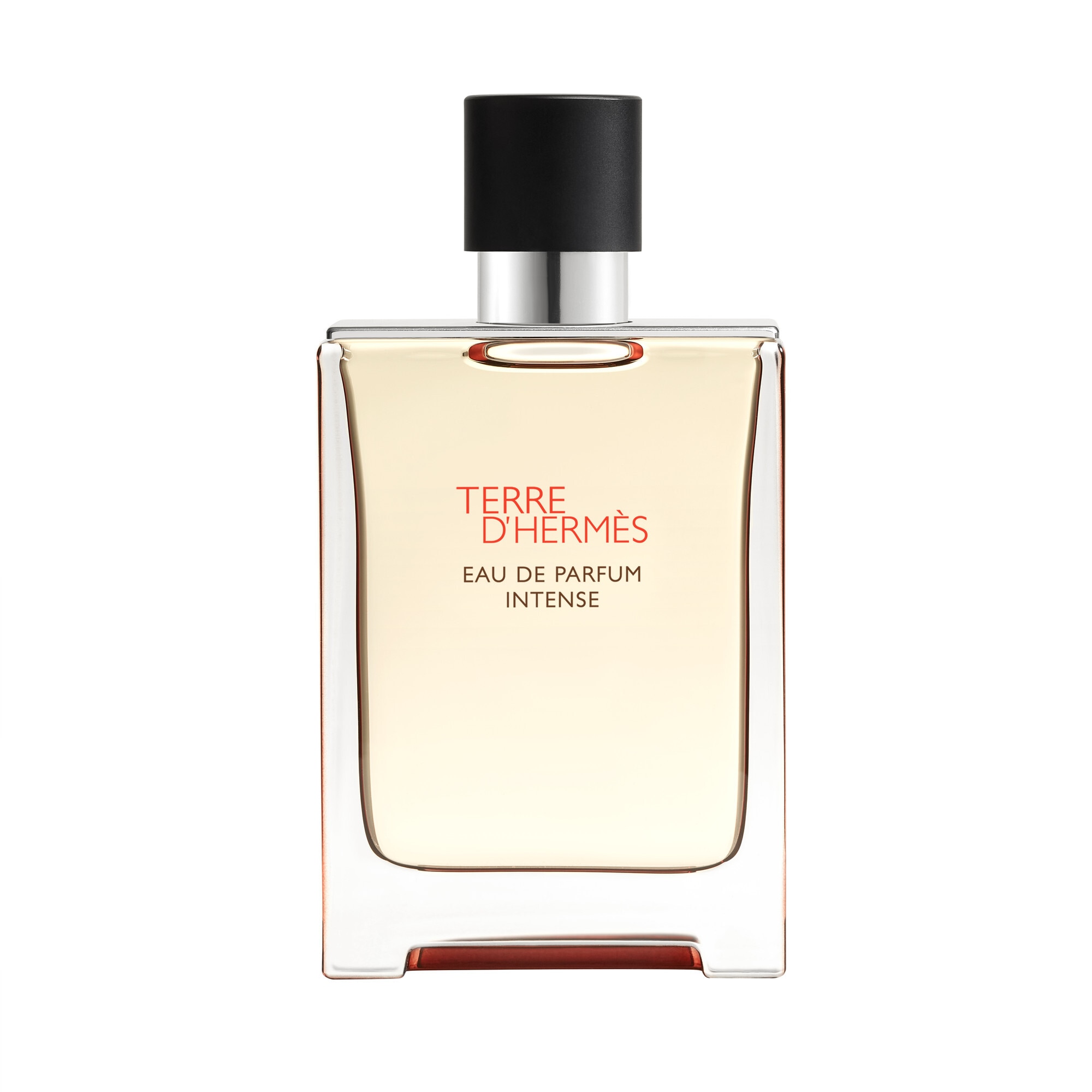 100 ML Hermès Terre d'Hermès Eau de Parfum Intense 