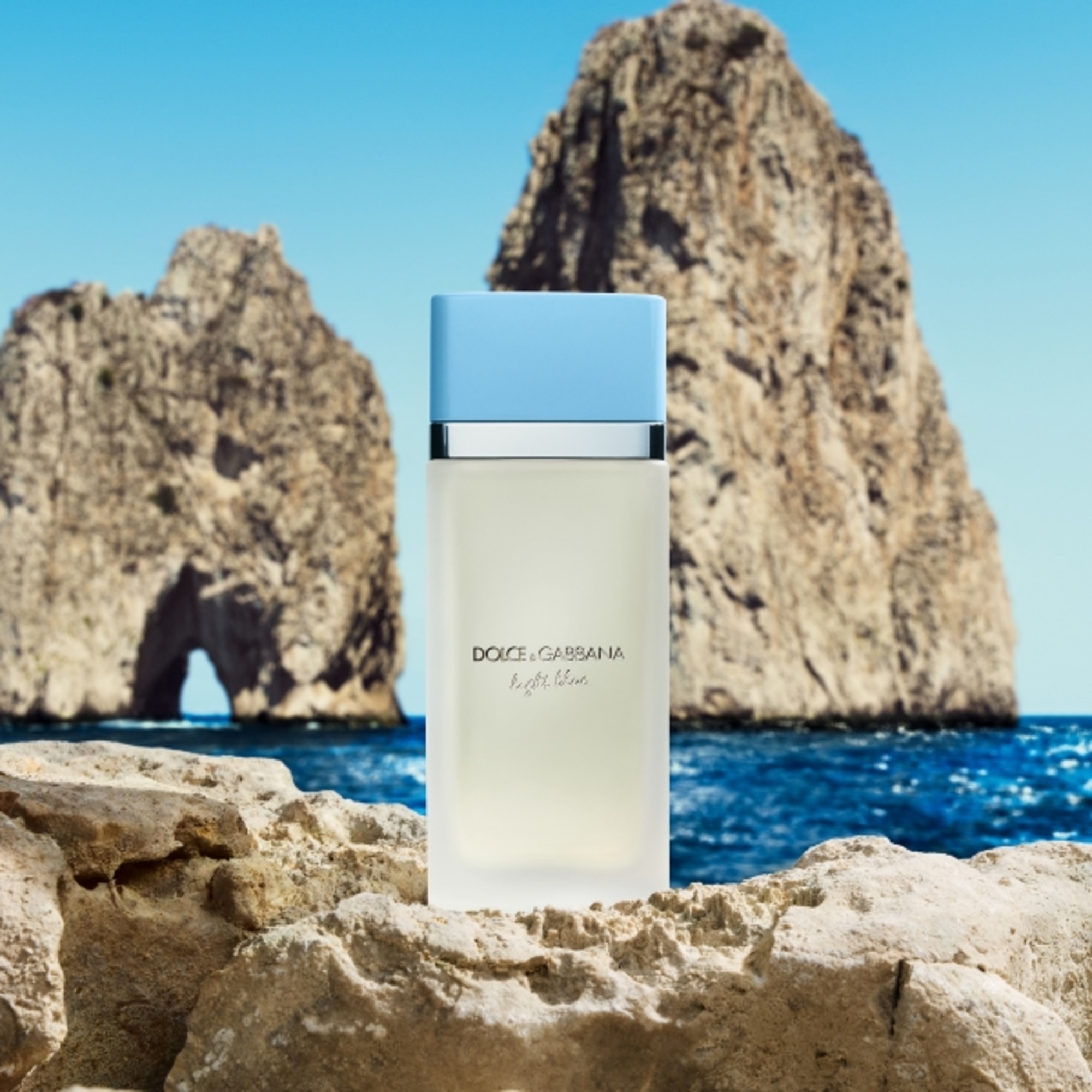 100 ML Dolce & Gabbana Light Blue Light Blue Eau de Toilette 1 of 7