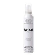 250 ML Noah SWEET ALMOND AND ARGAN OIL SWEET ALMOND AND ARGAN OIL Hajformázó hab  1 of 2 