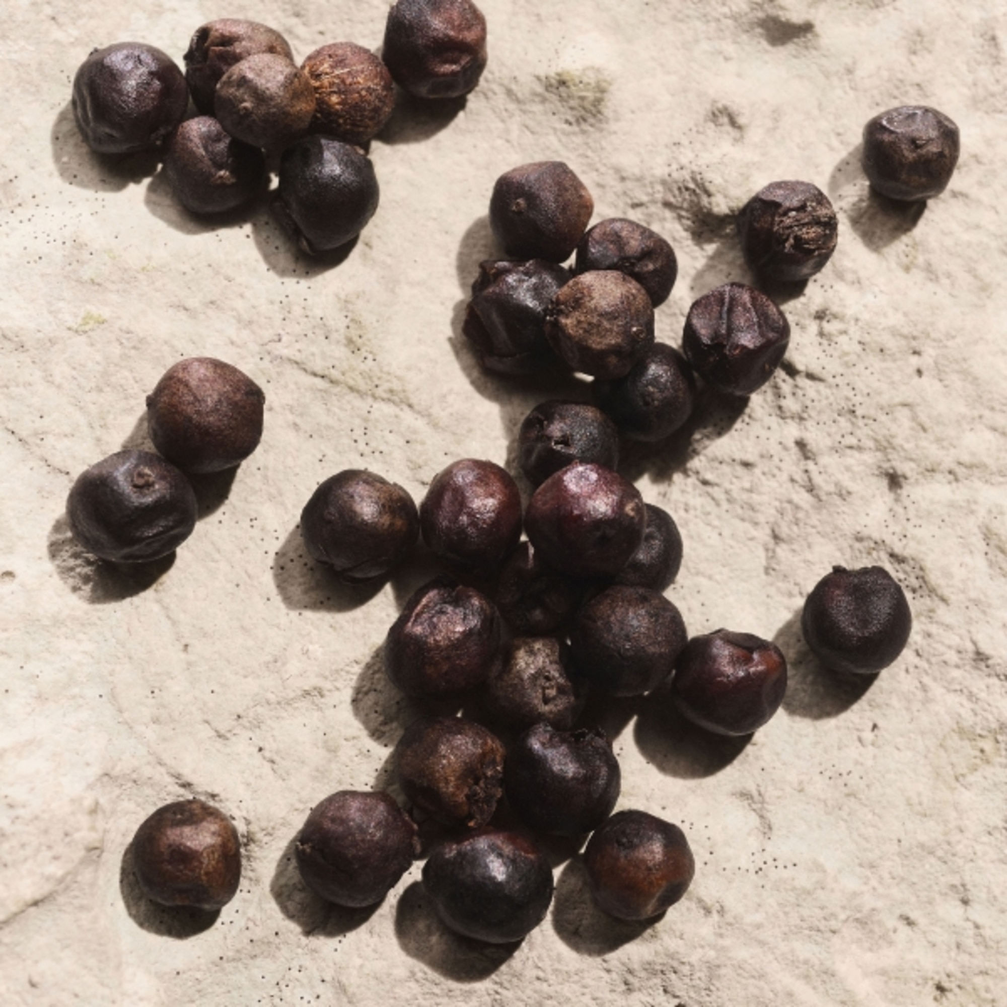 Light Blue Pour Homme Capri in Love Eau de Parfum