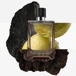 50 ML Hermès Terre d'Hermès Terre d'Hermès Eau de Parfum Intense 2 of 4 Terre d'Hermès Eau de Parfum Intense