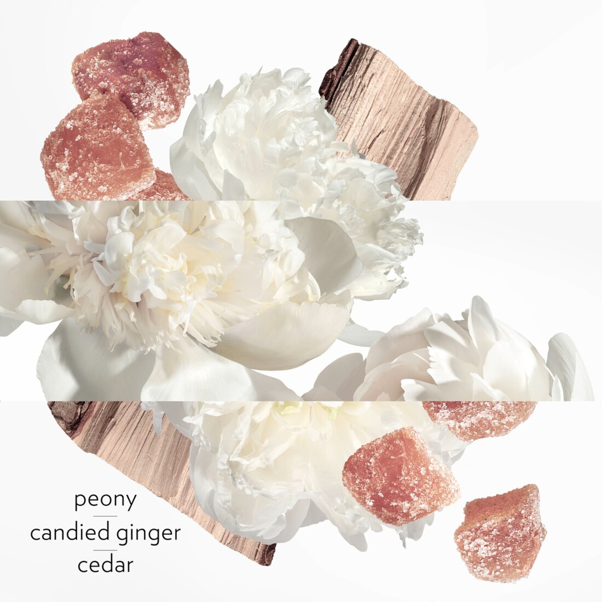 Eau Ginger Eau de Parfum