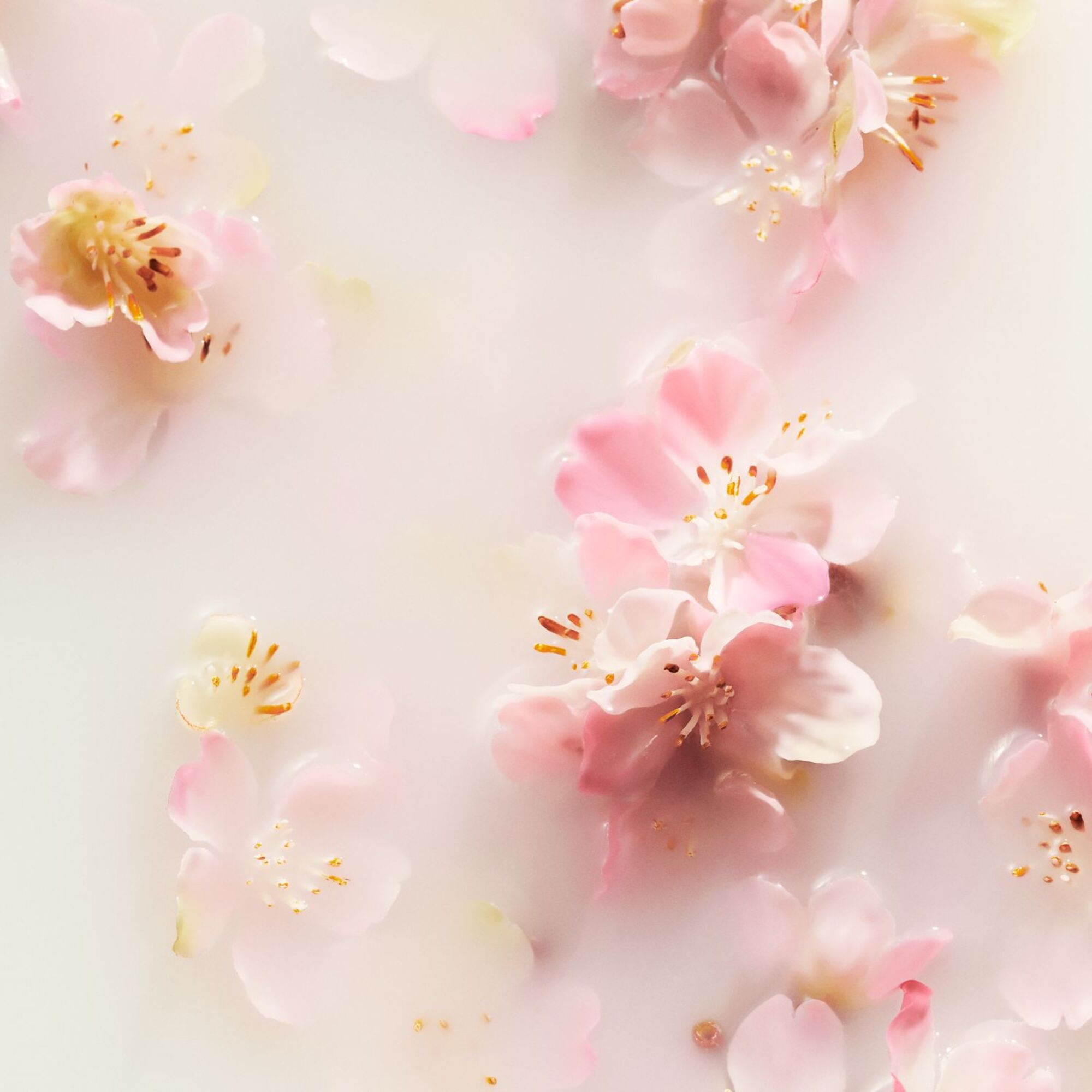 70 ML Rituals The Ritual of Sakura The Ritual of Sakura Kézbalzsam  1 of 2 