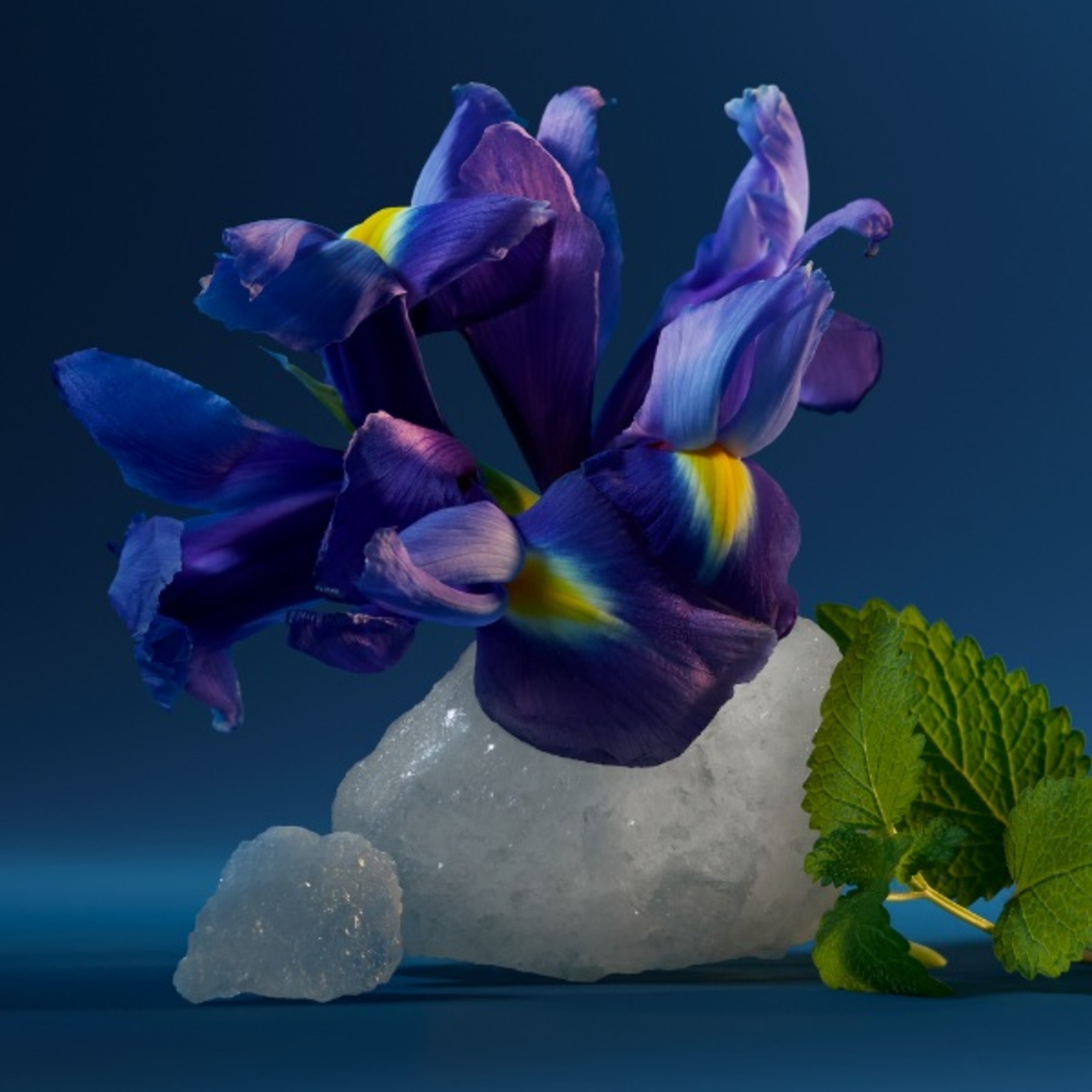 CK One Night Essence Eau de Parfum