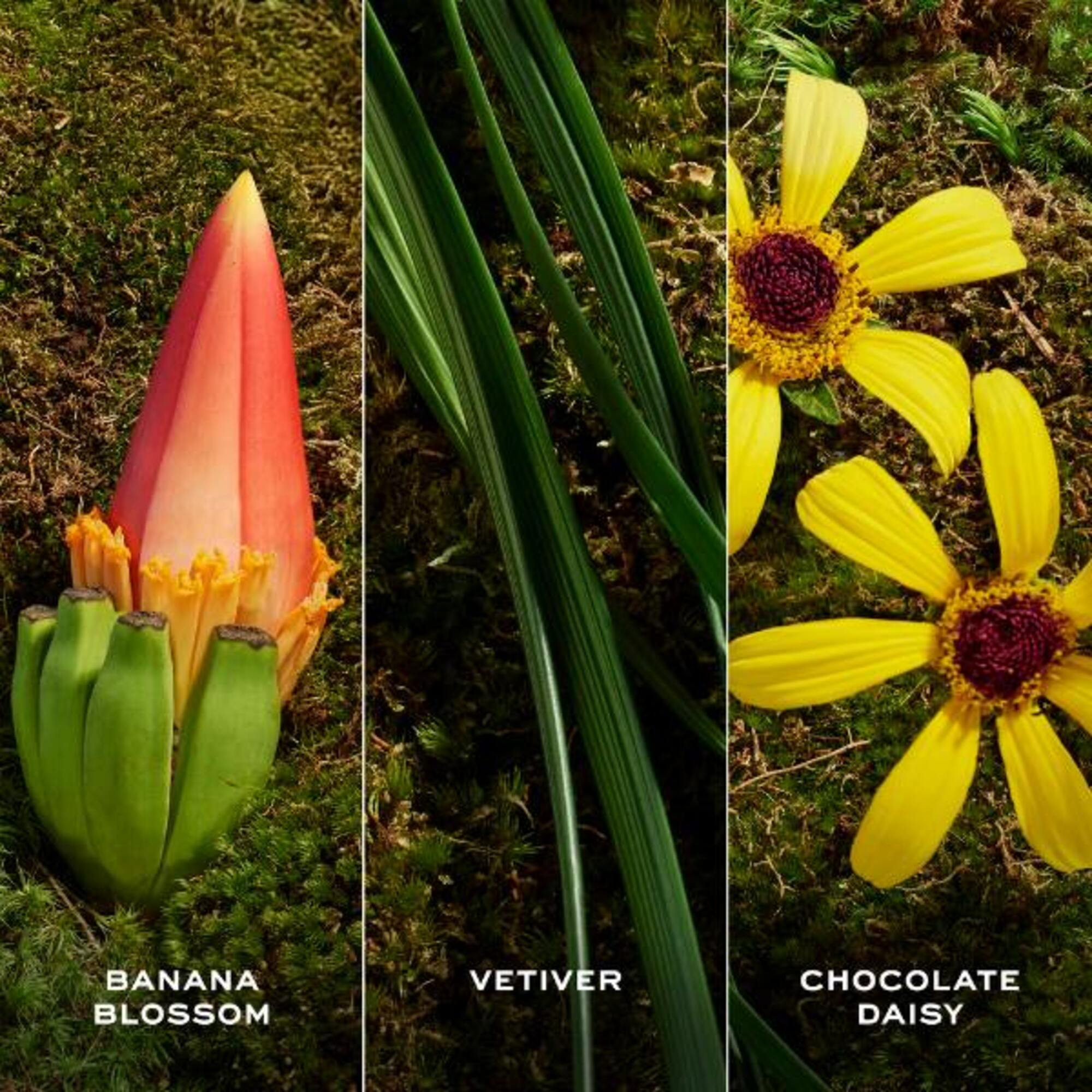 Daisy Wild Eau So Extra Parfum