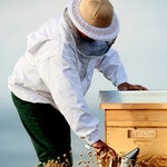 4 DB GUERLAIN ABEILLE ROYALE Abeille Royale Honey Cataplasm Arcmaszk  2 of 3 Abeille Royale Honey Cataplasm Arcmaszk