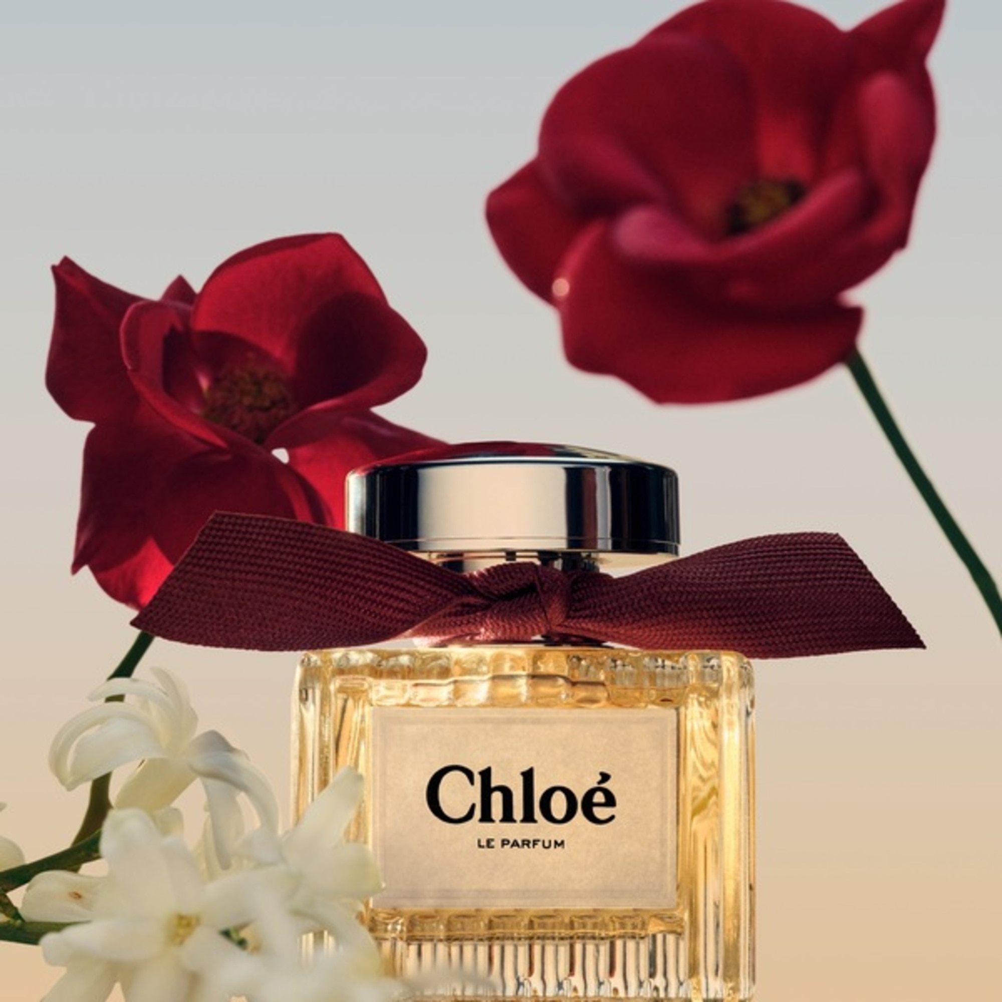 100 ML CHLOE Le Parfum Chloé Le Parfum  1 of 7 