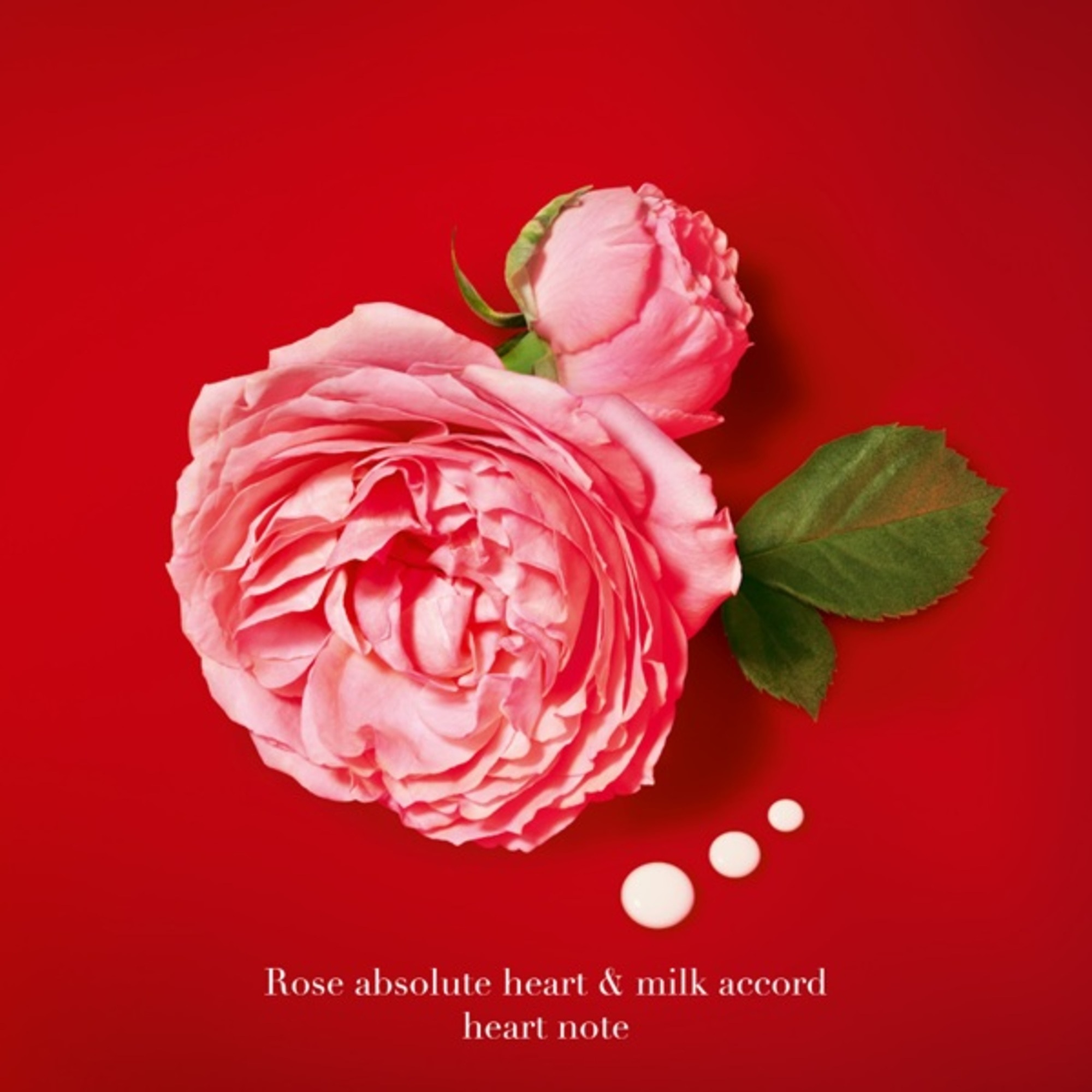 Si Passione Red Musk Eau de Parfum