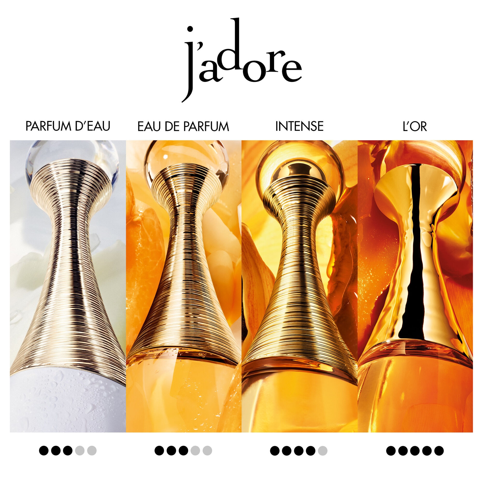 100 ML Dior J'adore J'adore Intense Parfum  1 of 5 