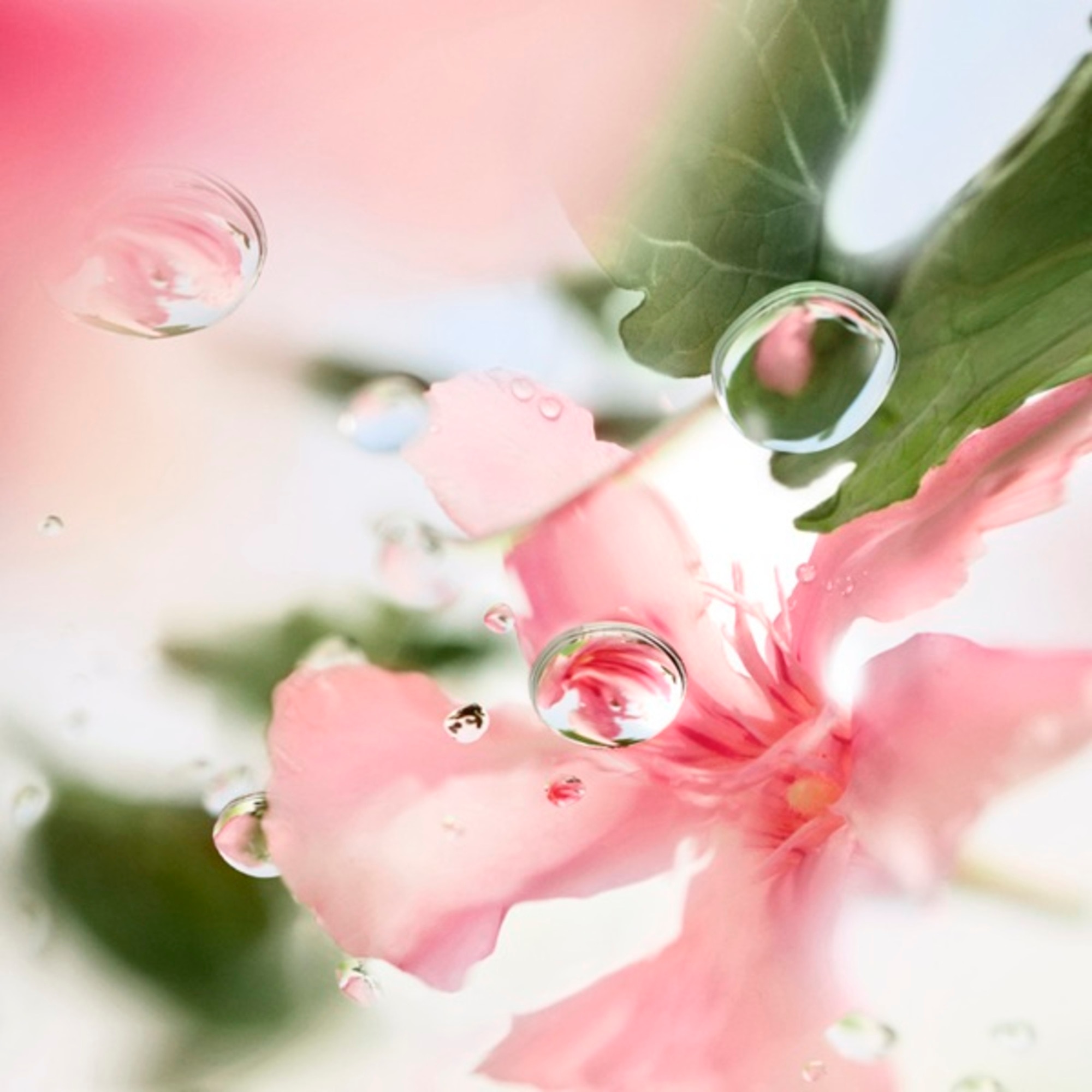 Ôver the top Eau de Toilette