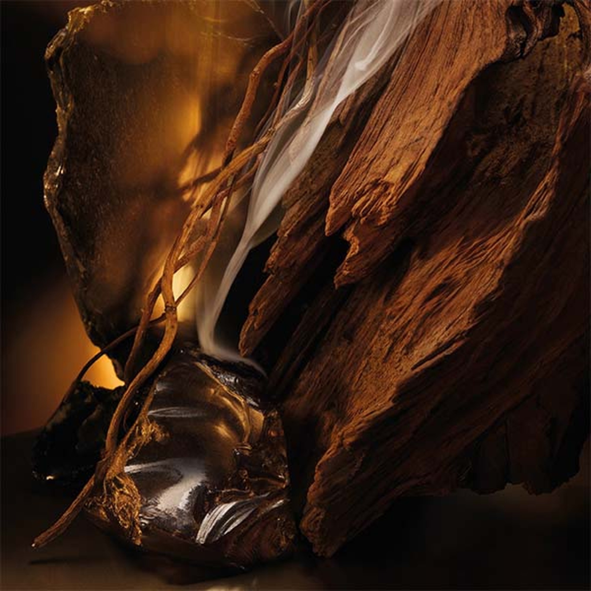 Boss Bottled Elixir Eau de Parfum