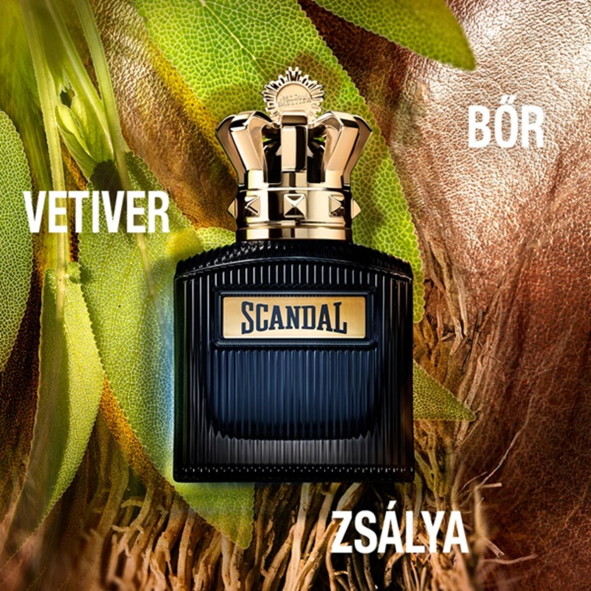 100 ML JEAN PAUL GAULTIER Scandal Pour Homme Scandal Pour Homme Intense Eau De Parfum Intense  1 of 6 