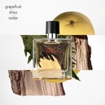 75 ML Hermès Terre d'Hermès Pure Parfum  2 of 4 Pure Parfum