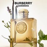 30 ML BURBERRY Burberry Goddess Goddess Intense Eau de Parfum  3 of 6 Goddess Intense Eau de Parfum