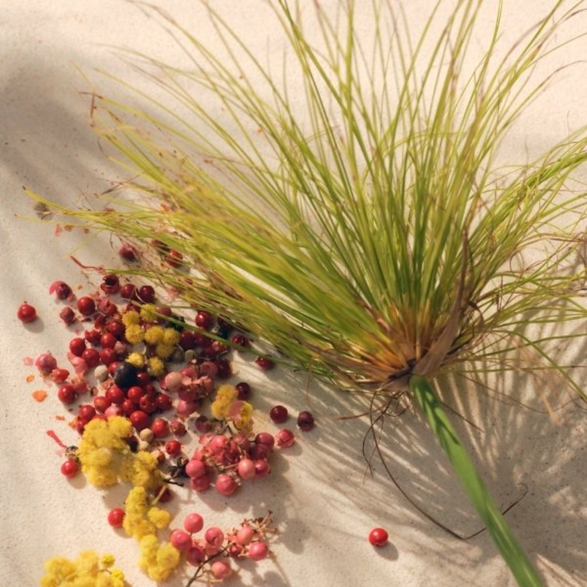 Nomade Jardin d'Egypte Eau de Parfum