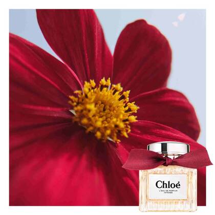 Chloé L'Eau de Parfum Intense