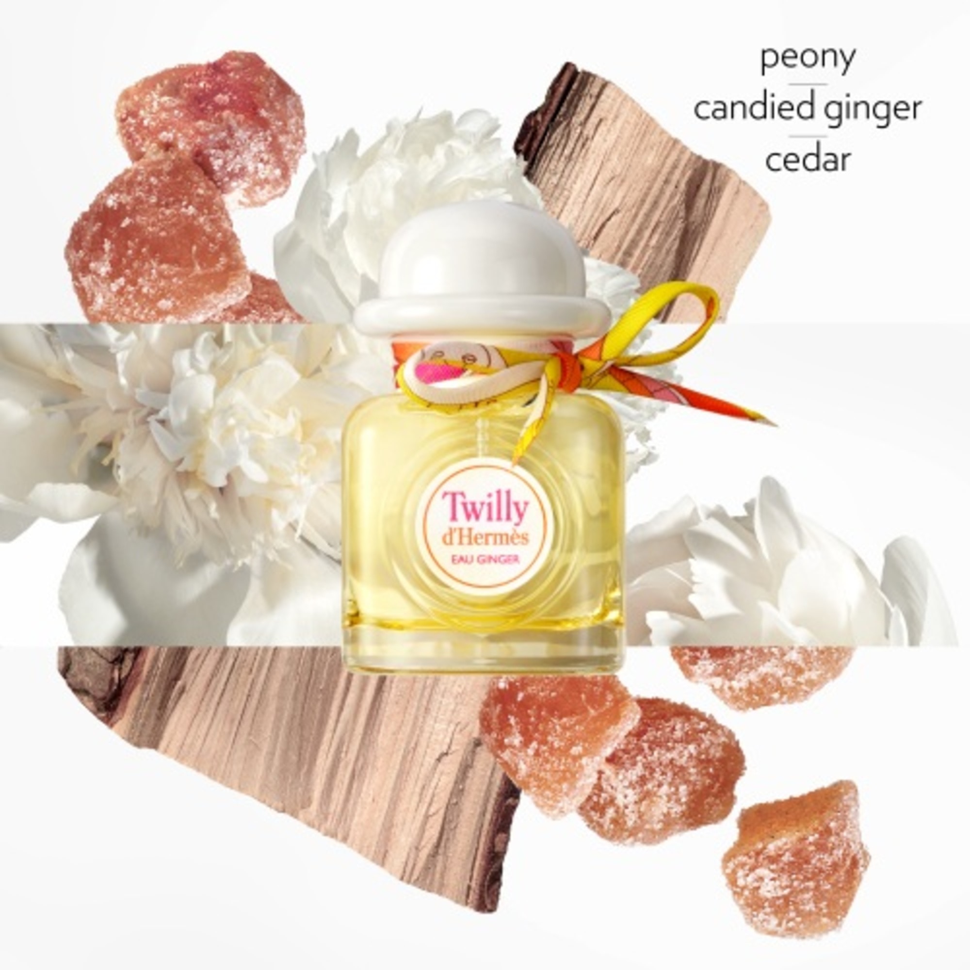 85 ML Hermès Twilly d'Hermès Twilly d'Hermès Eau Ginger Eau de Parfum  1 of 5 