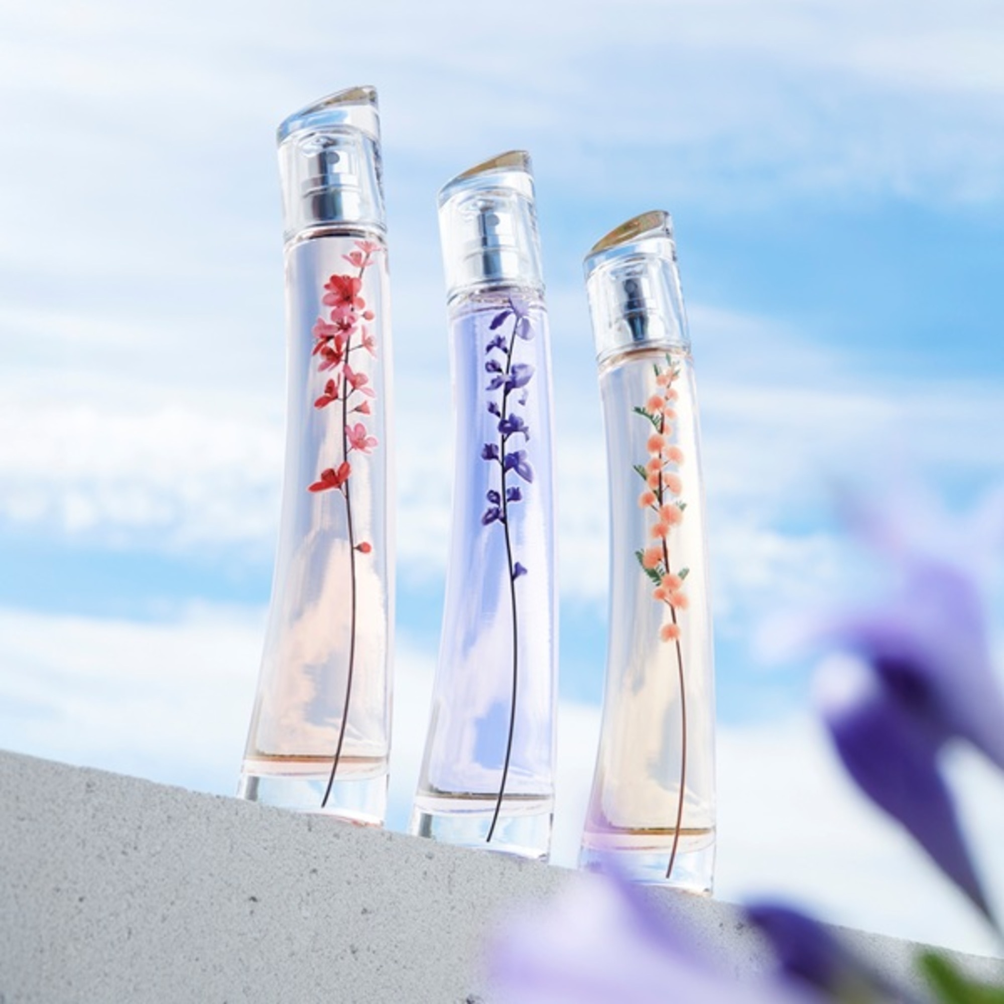 75 ML KENZO Flower by Kenzo Flower Ikebana Indigo Eau de Parfum  1 of 7 