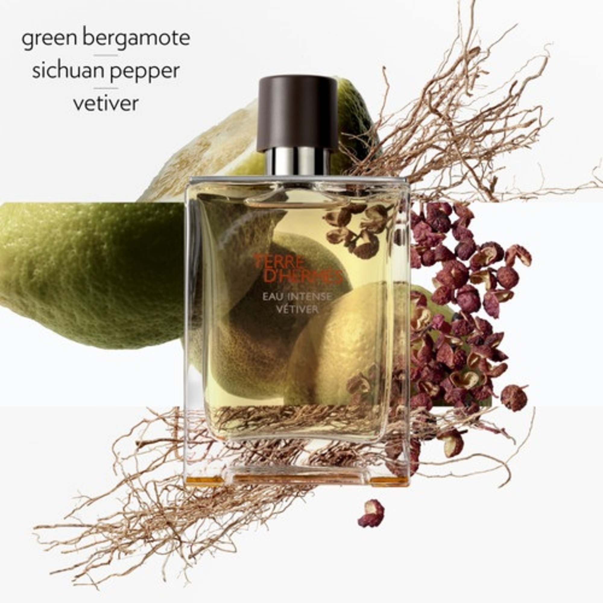 Terre d'Hermès Eau Intense Vétiver Eau de Parfum