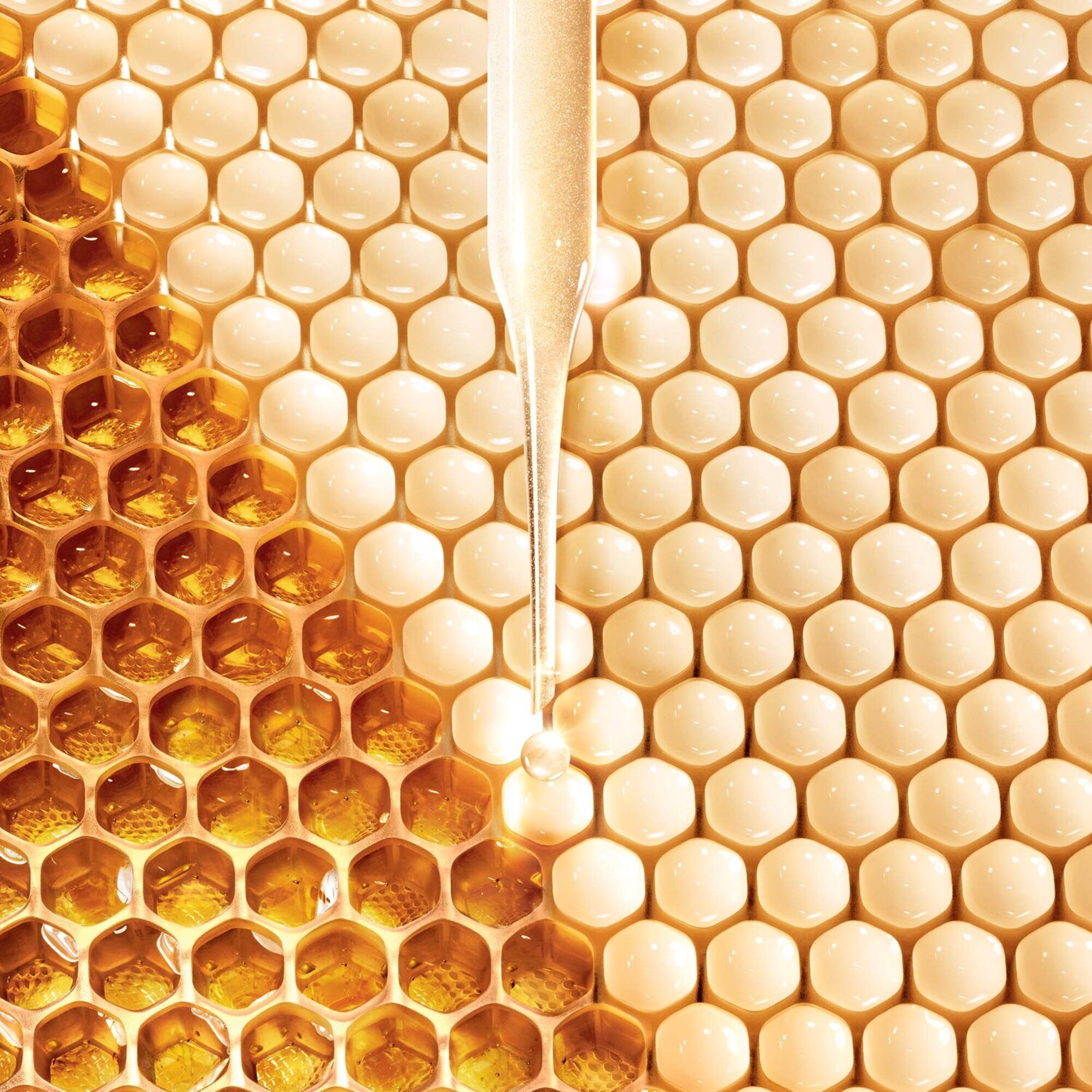 Abeille Royale Fortifying Hidratáló arcápoló