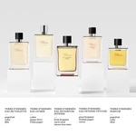75 ML Hermès Terre d'Hermès Pure Parfum  4 of 4 Pure Parfum