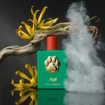 100 ML Dolce & Gabbana Fefé Fefé Illatpermet kutyáknak  2 of 5 Fefé Illatpermet kutyáknak