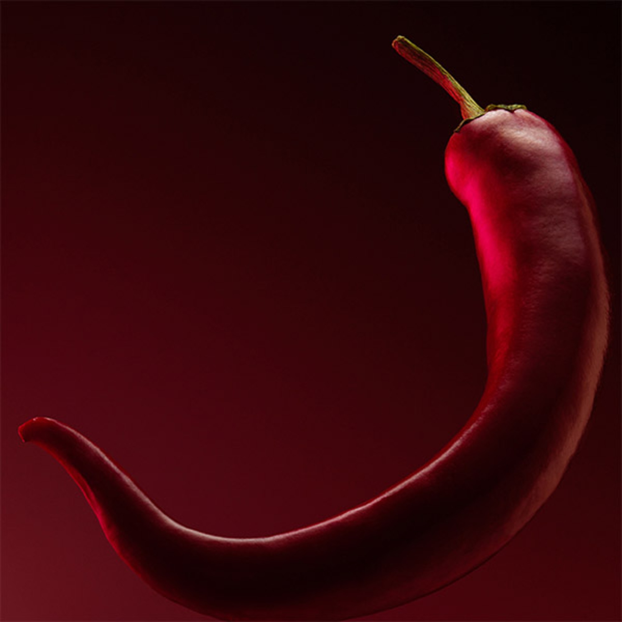 The Scent Elixir Him Eau de Parfum