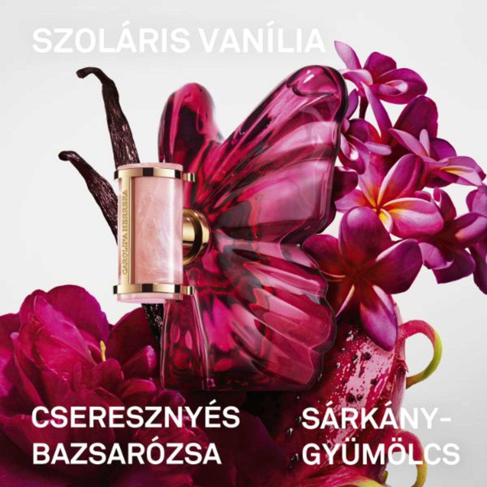 La Bomba Eau de Parfum