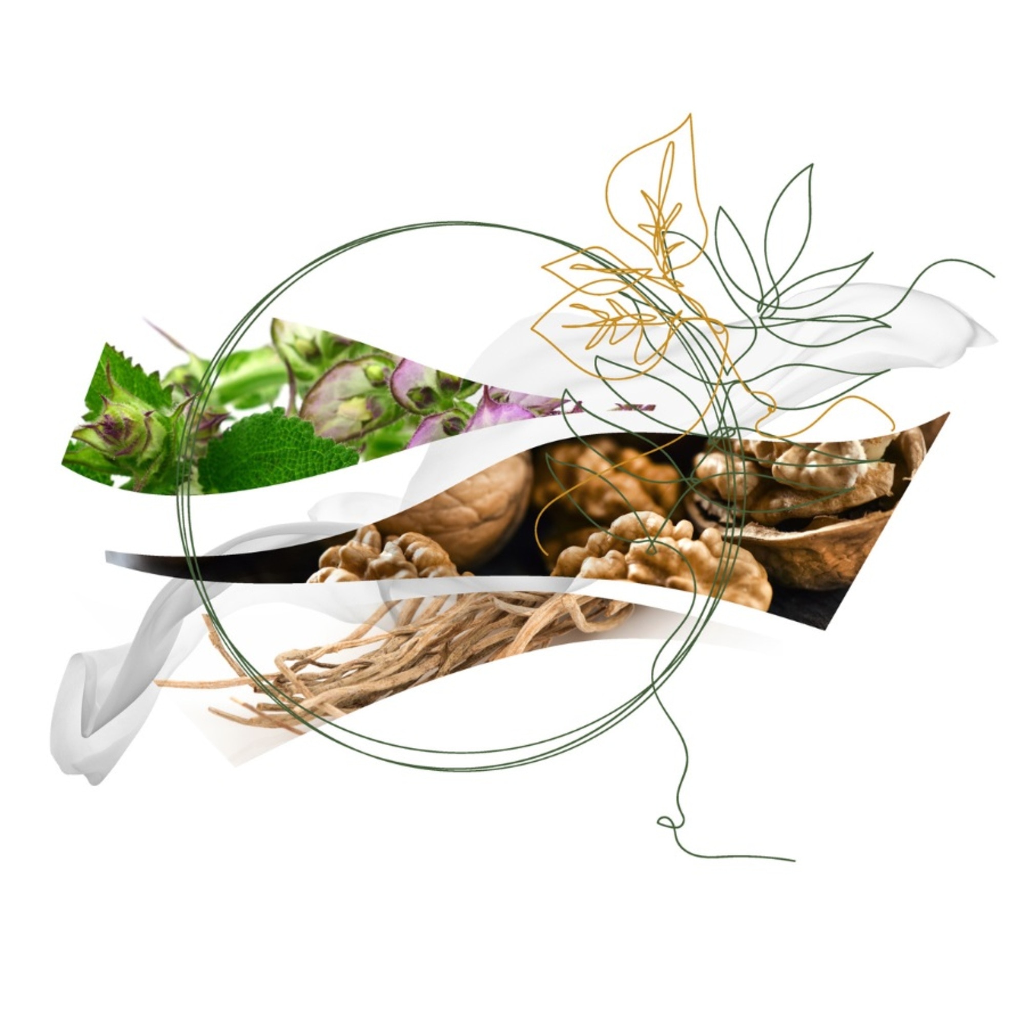 FORESTE DI SETA EAU DE PARFUM