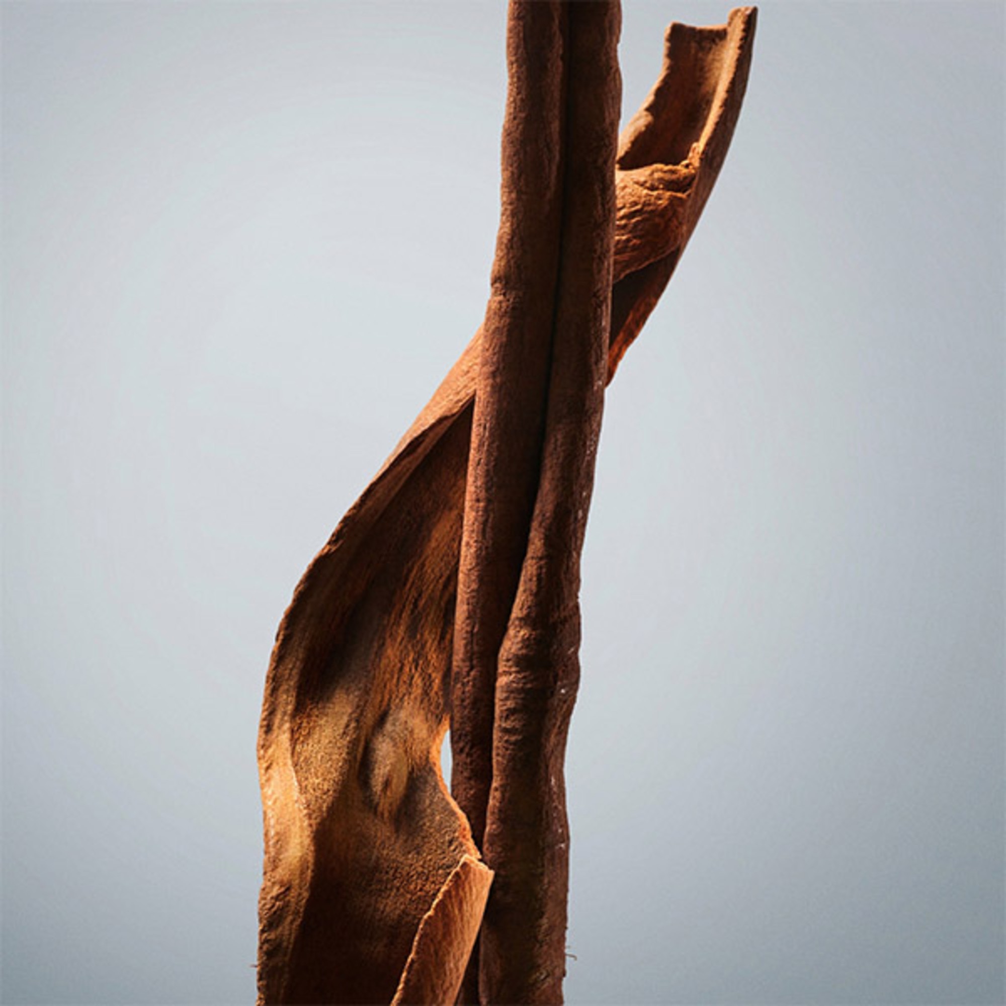 Boss Bottled Dezodor Stick