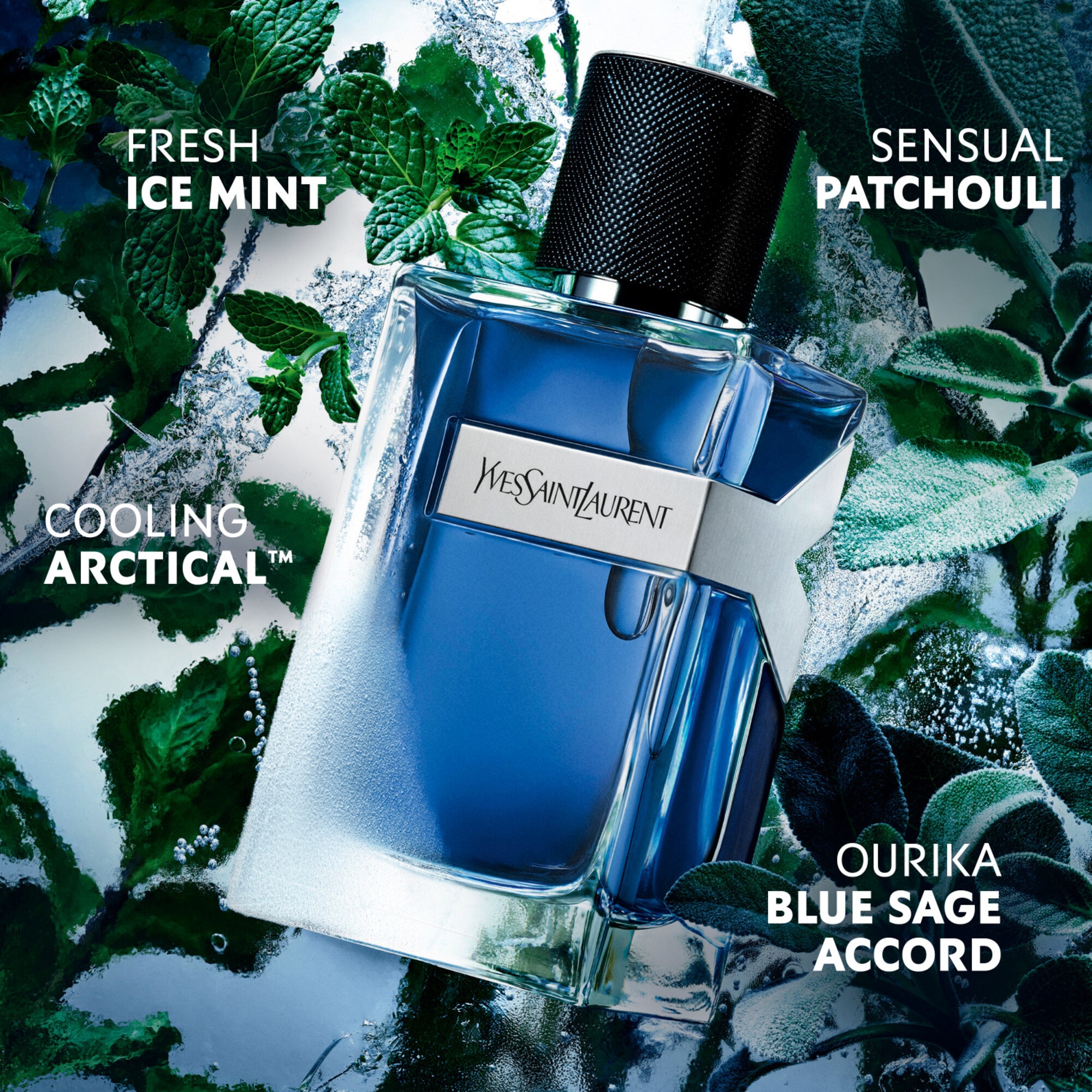 Y Iced Cologne Eau de Toilette