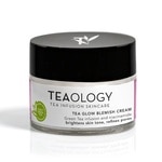 50 ML Teaology Tea Glow Tea Glow Blemish Arckrém  1 of 3 Tea Glow Blemish Arckrém