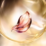 30 ML Lancôme Absolue Absolue Longevity Soft Cream Arcápoló  5 of 5 Absolue Longevity Soft Cream Arcápoló