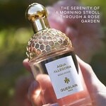 40 ML GUERLAIN AQUA ALLEGORIA Aqua Allegoria Rosa Rossa Eau de Toilette  2 of 3 Aqua Allegoria Rosa Rossa Eau de Toilette
