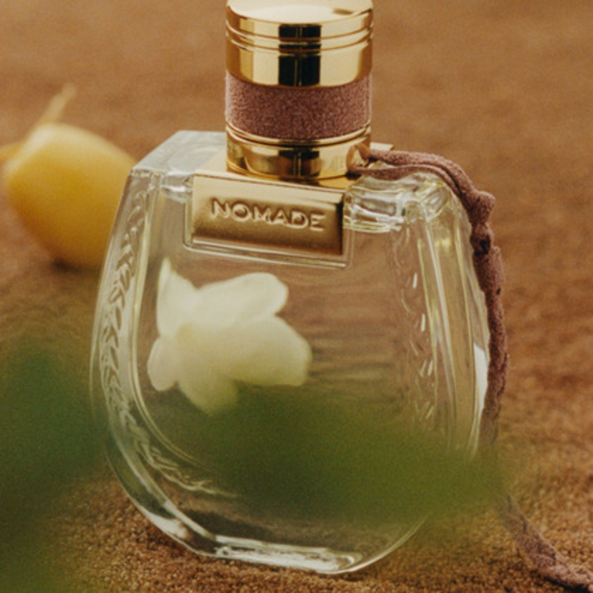 75 ML CHLOE Nomade Jasmine Nomade Jasmine Naturel Intense Eau de Parfum  1 of 3 