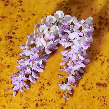 Gucci Guilty Elixir Pour Femme Eau de Parfum