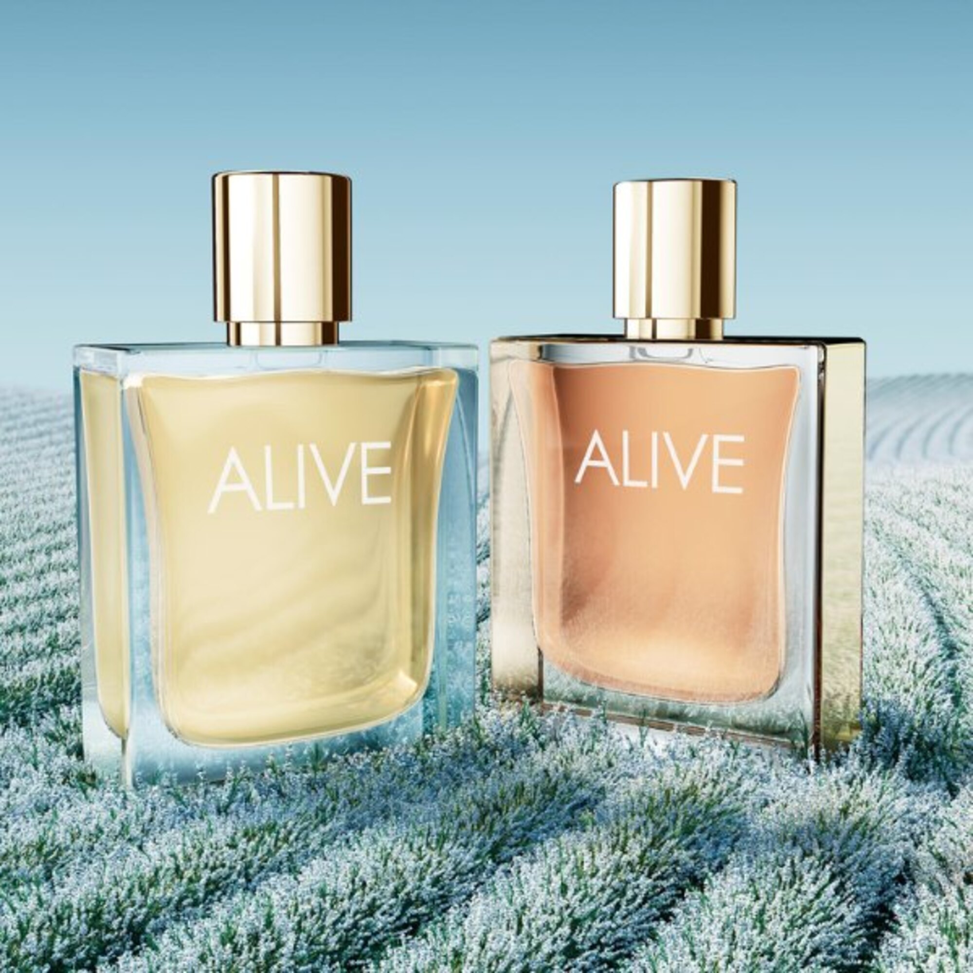 Boss Alive Sparkling Lavender Eau de Parfum