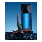 100 ML ISSEY MIYAKE FUSION FUSION Extréme&nbsp;-&nbsp;Eau de Toilette Intense  2 of 2 FUSION Extréme&nbsp;-&nbsp;Eau de Toilette Intense